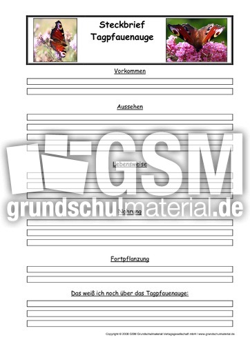 Tagpfauenauge-Steckbriefvorlage.pdf